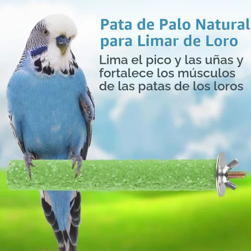 Vista 4 de 4PCS 5.5x0.8in Madera Bird Perch Stand Juguetes para Jaula de Perico
