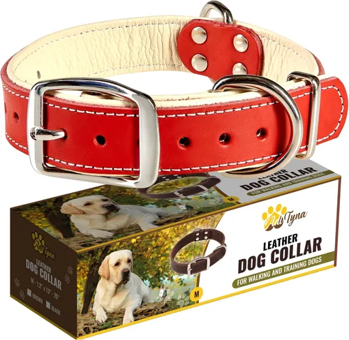 Vista 26 de ADITYNA Collar de perro de cuero negro resistente para perros pequeños, acolchado suave para mayor comodidad, collar de perro pequeño para caminar