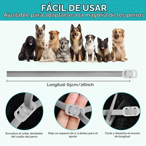 Vista 6 de Prevención de pulgas y garrapatas para perros, paquete de 4 collares