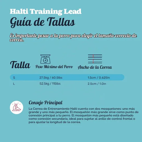 Vista 5 de Correa de Entrenamiento Halti - Correa de Perro Multifuncional de Doble Extremo, Ideal para Entrenamiento de Perros Anti-Tirón. Ligera, Suave y Negro