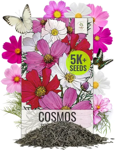 Vista 9 de Seed Needs - Semillas de flores para plantar Black Eyed Susan, paquete a granel de 1.5 onzas