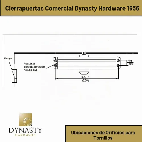 Vista 3 de Dynasty - Cierrapuertas ajustable Tamaño de resorte 3-6 Cierrapuertas automático hidráulico Serie 1636 Aluminio rociado
