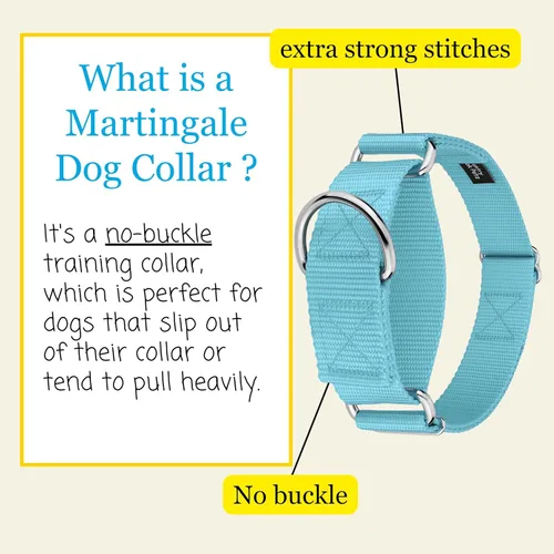 Vista 4 de Country Brook Petz - Collar para perro de nailon resistente Martingale de 15 colores (extra grande, 1 1/2 pulgadas de ancho, azul océano)