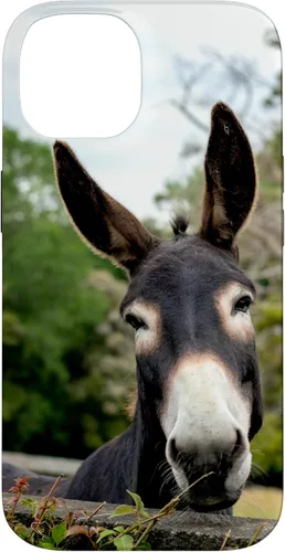 Vista 4 de Funda Donkey para iPhone 17