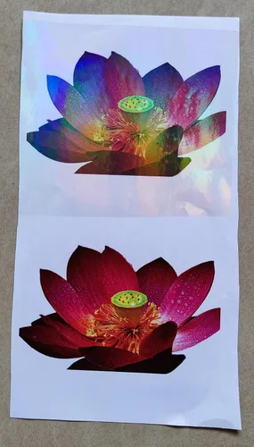 Vista 3 de 25 hojas tamaño A4 de lámina laminadora holográfica transparente en frío, superposición premium, láminas autoadhesivas