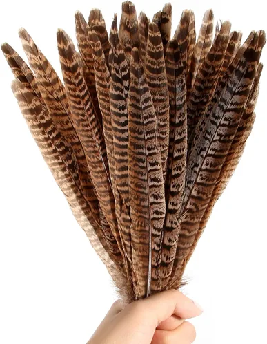 Vista 4 de THARAHT 24 plumas de faisán femenino, plumas naturales de 6 a 8 pulgadas, 5.9-7.9 in para manualidades, hogar, boda, fiesta, actuación, decoración