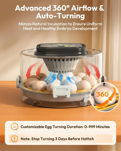Vista 11 de 18 Egg Incubator for Hatching Eggs with Humidity & Temperature Control
