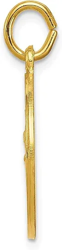 Vista 2 de Icecarats 24K Gold Plated 925plata esterlina Saint Christopher Medalla Collar Colgante Encanto
