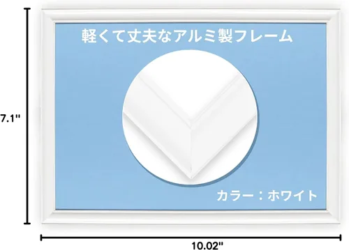 Vista 7 de Sierra de calar Panel Flash Panel (panel) de aluminio AP008/1- volumen (7.2 x 10.1 inch) blanco ap008 W (importado de Japón)