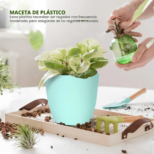 Vista 4 de Utopia Home - Macetas de Interior con Drenaje - Macetas de Flores de 7/6.6/6/5.3/4.8 Pulgadas para Plantas de Interior - Juego de 5 Macetas