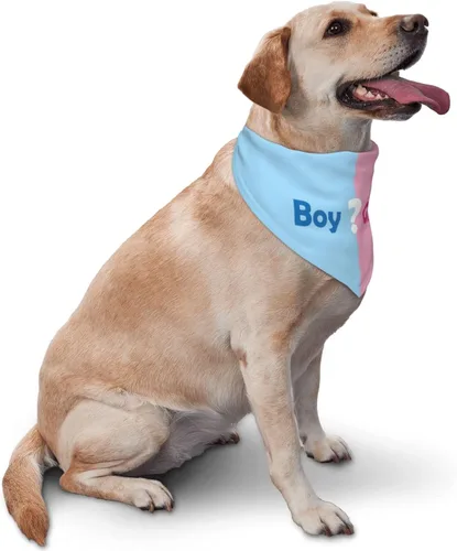 Vista 2 de ¿Qué será? Anuncio de embarazo, bufanda triangular para mascotas, revelación de género, accesorios de fotografía de baby shower (rosa)
