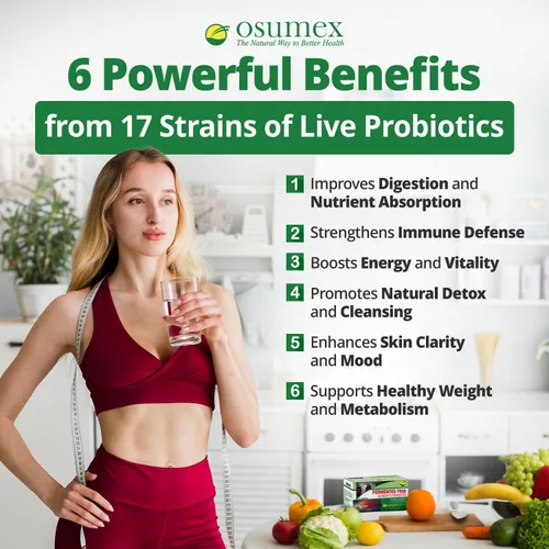 Vista 2 de Probióticos vivos de apoyo intestinal para mujeres y hombres, 60 cápsulas blandas vegetales-LB17 Suplemento probiótico diario para adultos