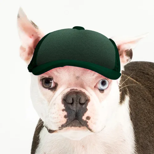 Vista 30 de DIY PupLid Trucker Hats (negro/blanco, XXS) - Sombrero de perro personalizable, lona en blanco para diseño personalizado, ajustable, protección