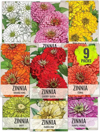 Vista 13 de Seed Needs - Semillas de Capuchina para Plantar Flores Comestibles - Juego de Colección de Mezcla Joya y Capuchinas de Doble Brillo para Atraer