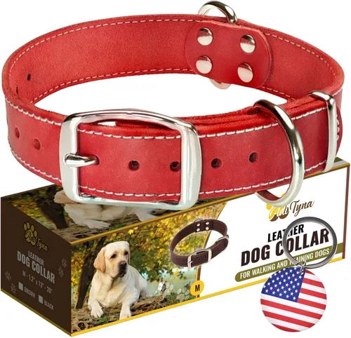 Vista 20 de Collar de perro de cuero negro resistente, collar de perro suave y fuerte para cachorros o razas pequeñas