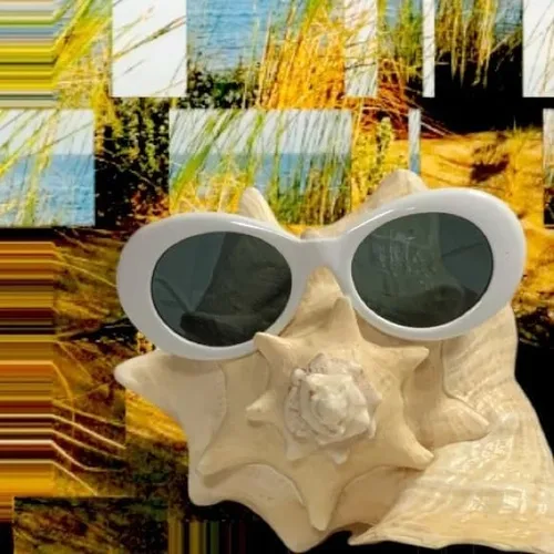 Vista 4 de Auténticas gafas de sol Clout Bold Oval Retro Mod Moda Gafas de sol Clout lente redonda