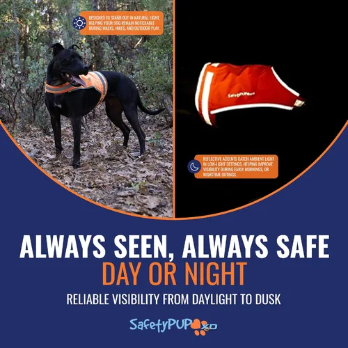 Vista 4 de Chaleco naranja Blaze para perro, edición Lite. Chaqueta reflectante para perro de alta visibilidad con cobertura de espalda media. Chaleco de caza