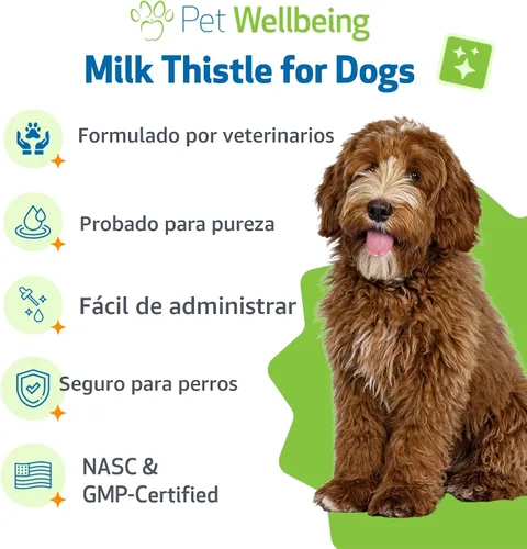 Vista 5 de Pet Wellbeing Cardo Mariano para Perros - Cardo Mariano Orgánico, Apoya la Función Hepática Saludable y la Desintoxicación - Certificado NASC