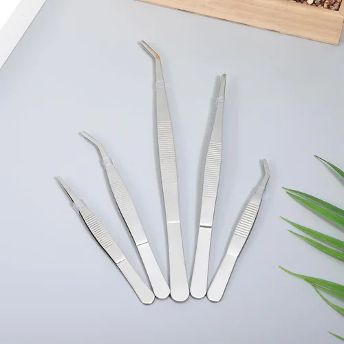 Vista 4 de jojofuny 5pcs Succulent Gardening Tweezers Stainless Steel Plant Transplanting Tools for Seedlings Flower Succulent Care Lightweight Portable Hand