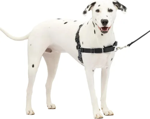 Vista 21 de PetSafe Easy Walk - Arnés para perro, sin tirones, gris carbón Carbón/Negro