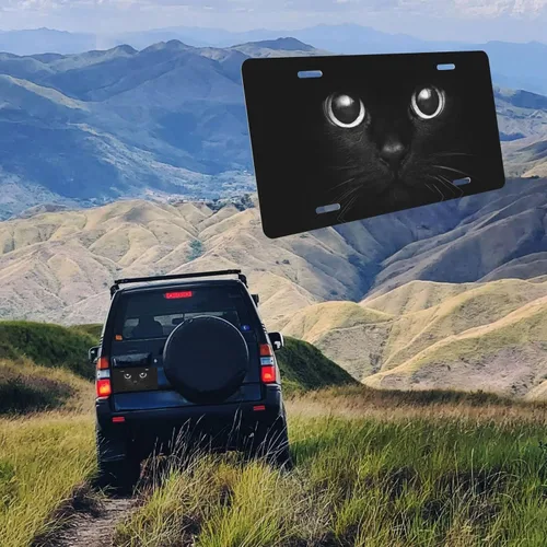 Vista 3 de Placa de matrícula frontal decorativa de aluminio con ojos de gato negro observando, placas de matrícula divertidas de metal, placa de automóvil