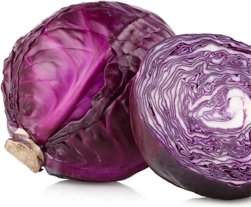 Vista 2 de Col Red Acre 500 Semillas (Brassica oleracea) Sin OGM - Heirloom - Polinizado abierto