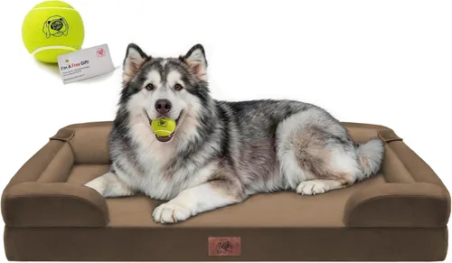 Vista 47 de Cama ortopédica impermeable para perros medianos y grandes Beige