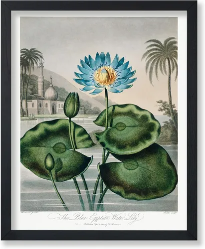 Vista 54 de Poster Master Póster clásico, impresión expresionista vintage, regalo para artistas, amigos, animales en un recinto, horquilla, abstracto, cubismo