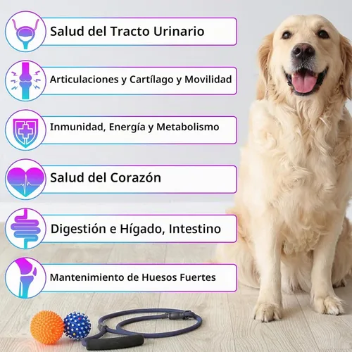 Vista 3 de Gotas multivitamínicas 15 en 1 para perros, gotas multivitamínicas líquidas