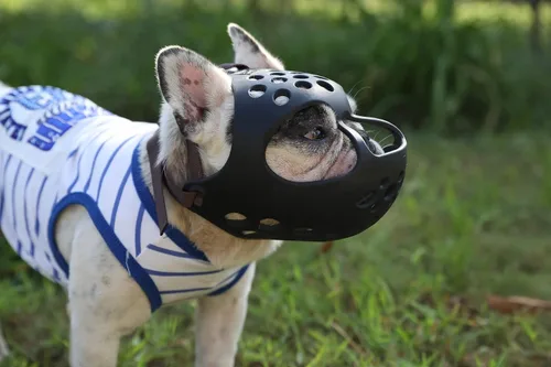 Vista 5 de Bozal corto para perro, de silicona suave, ajustable, transpirable, para morder, masticar, ladrar, entrenar, ideal para perros de cara plana