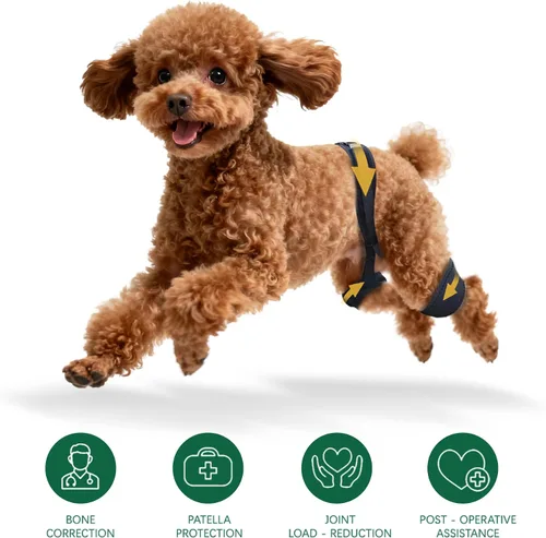 Vista 3 de Aeegee Soporte ortopédico de cadera para perro, soporte de pierna de perro para displasia de cadera, soporte de cadera para perro para aliviar