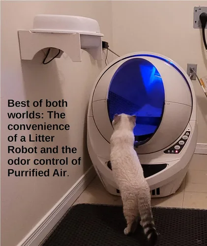 Vista 8 de Filtro de aire purificado para caja de arena de aire, para gatos, hurones y vehículos recreativos, diseñado para eliminar el olor y el polvo, medios