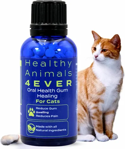 Vista 9 de HA4E - Salud oral para gatos - Alivia la inflamación, alivia el dolor y combate las enfermedades de las encías, natural, sin OMG, orgánico, sin