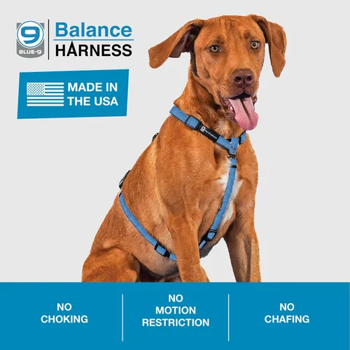 Vista 3 de Blue-9 Arnés de balanceo con hebilla reflectante, ajustable sin tirones con costura reflectante 3M, ideal para entrenamiento y obediencia de perros