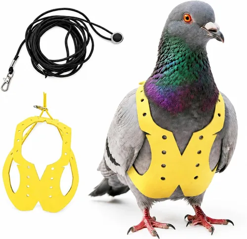 Vista 30 de Juego de arnés ajustable y correa para pájaros pequeños, apto para periquitos, conures, cacatúas, mejillas verdes, loros cuáqueros (verde, XS) 6350-6