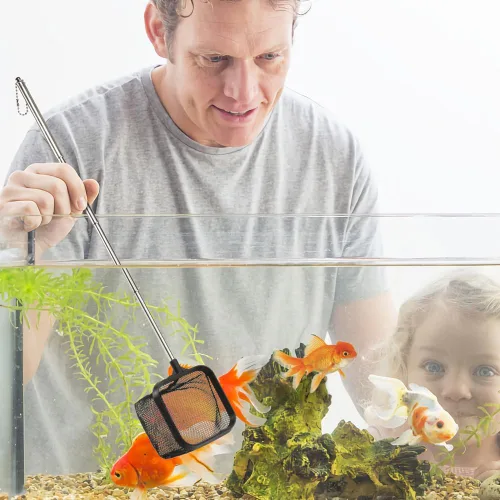 Vista 7 de DaToo Red de peces de acuario de 3 pulgadas para tanque de peces Betta Nano Nylon Net con mango extensible 6-16 pulgadas, 1 año de garantía