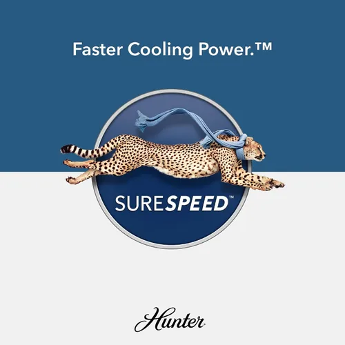 Vista 8 de Hunter Fan Company 51579 Hampshire - Ventilador de techo, 52, negro mate