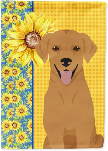 Vista 289 de Caroline's Treasures WDK5313GF Bandera de jardín con diseño de girasoles de verano, color negro y tostado, Airedale Terrier para buzón, bandera