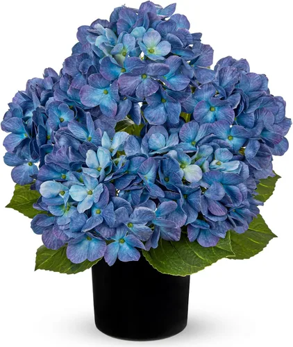 Vista 15 de Hollyone Flores artificiales de hortensias azules en maceta, flores grandes de seda de tres cabezas, arreglos florales falsos para interiores