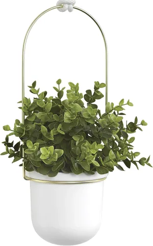 Vista 13 de Umbra Triflora - Maceta colgante para ventana, jardín de hierbas de interior, juego de 3, color blanco/latón