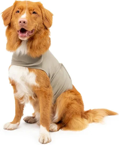 Vista 7 de Camisa Mellow Shirt para calmar la ansiedad de perros, Cypress