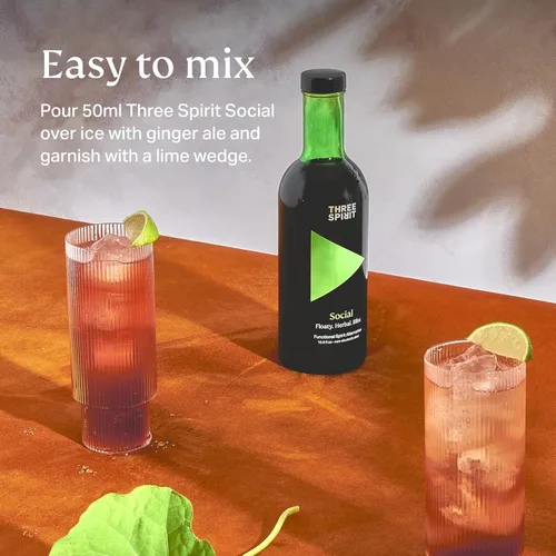 Vista 4 de Three Spirit Licor Alternativo Sin Alcohol - El Elixir, 50cl Adaptógenos, Cacao, Damiana y Oreja de León Bebida Botánica Activa, Sin Gluten