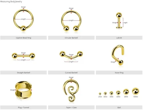 Vista 8 de WildKlass Jewely Septum - Anillo de acero quirúrgico para nariz 316L sin costuras (se vende individualmente)
