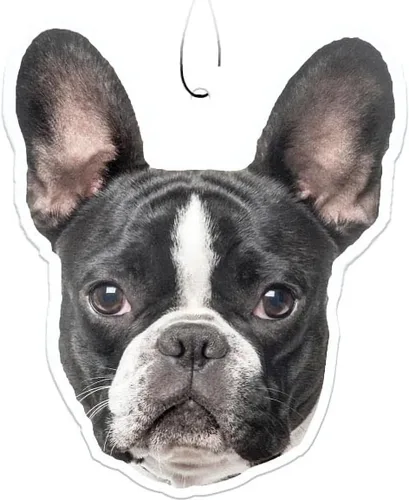 Vista 32 de Spoontiques Beagle Ambientador (3 unidades) – Accesorios y elementos esenciales para el interior del automóvil con temática de perro, desodorante