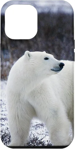 Vista 26 de Polar Bears Animal Nature Case for iPhone 17
