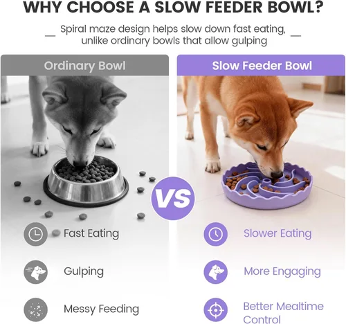 Vista 2 de SCHITEC Tazón de perro de alimentación lenta, cuenco de silicona de Púrpura