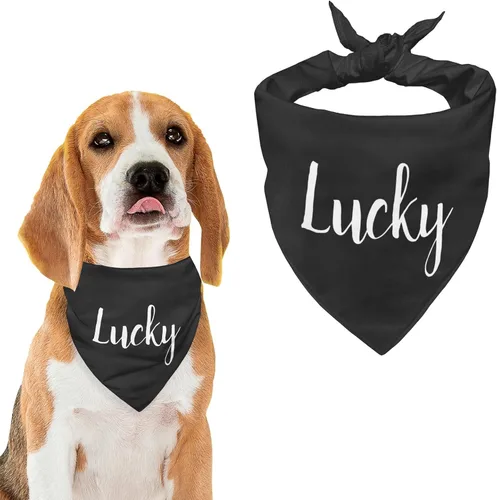 Vista 10 de Bandana personalizada para perro con nombre de poliéster, bandana personalizada para perro, triángulo, bufanda personalizada para mascotas