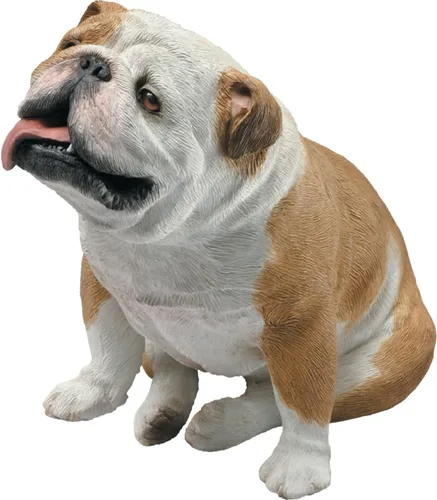 Vista 5 de Sandicast Escultura de bulldog cervatillo, sentado, tamaño pequeño