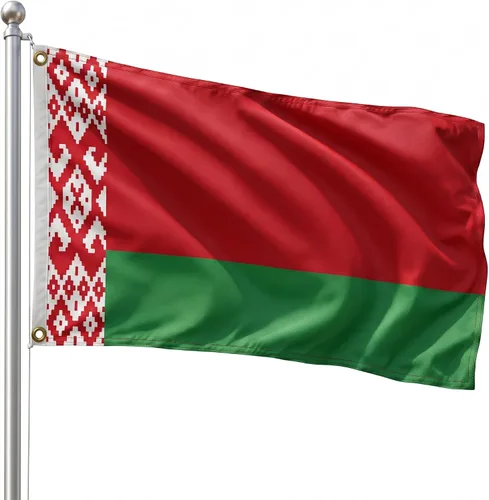 Vista 68 de DMSE - Bandera nacional beninesa beninesa de la República de África Occidental, 2 x 3 pies, 100 % poliéster, 100 % poliéster, resistente a los rayos
