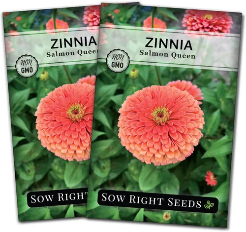 Vista 6 de Sow Right Seeds - Semillas de zinnia Salmon Queen para plantar - Paquete de reliquia sin OMG para plantar y cultivar un jardín de flores en el hogar